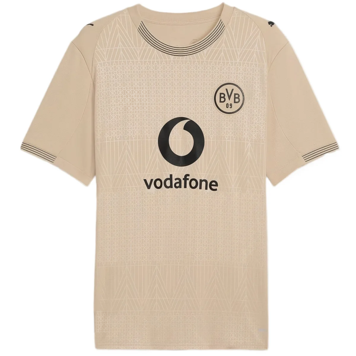 Borussia Dortmund Special Jersey 2026 100th Anniversary Rote Erde