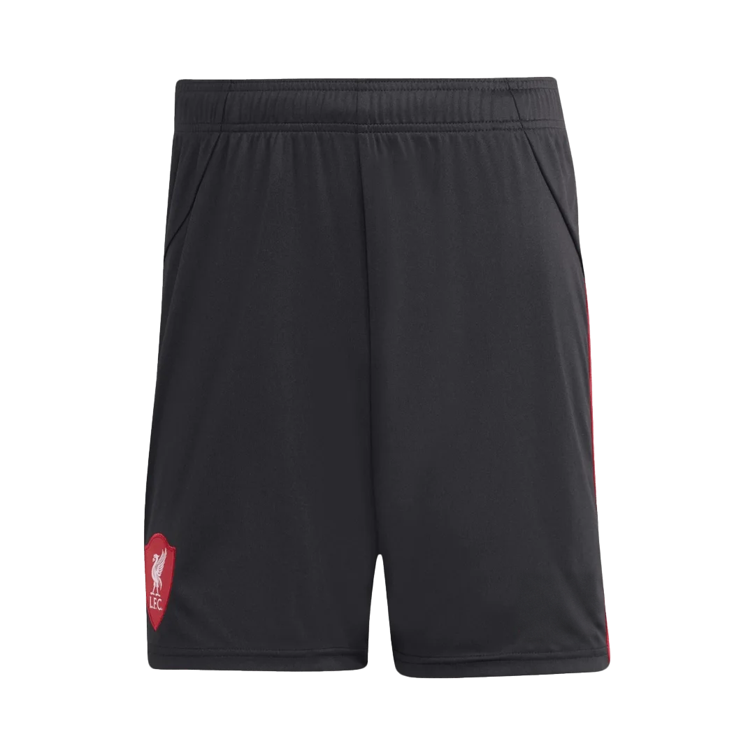 Liverpool Away Jerseys Kit 2025/26