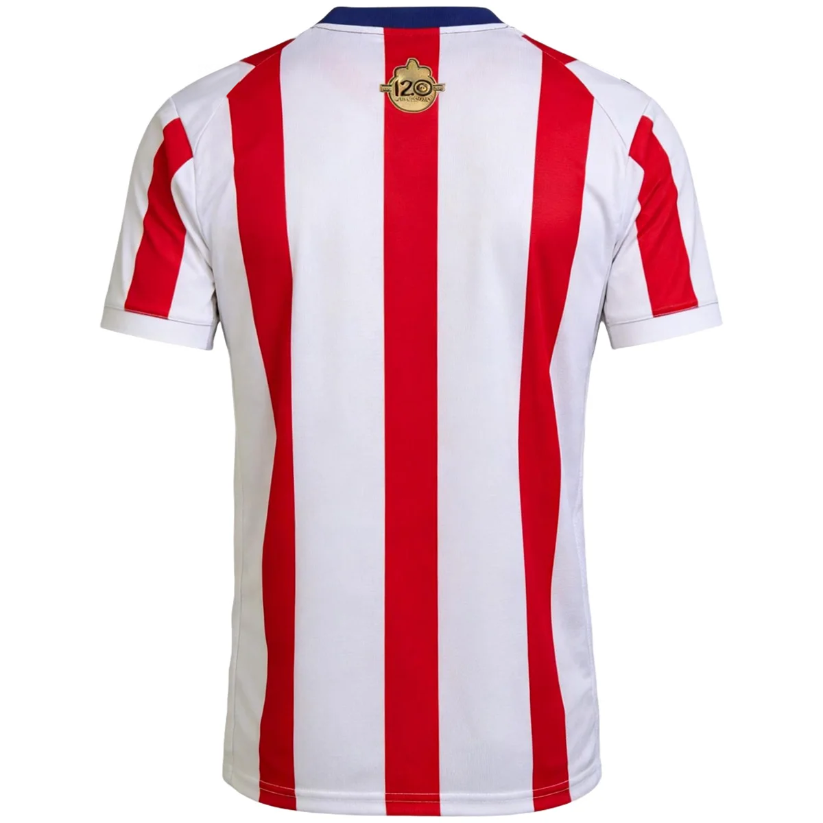 Maglia Chivas 2026 — 120º anniversario